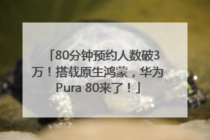 80分钟预约人数破3万！搭载原生鸿蒙，华为Pura 80来了！