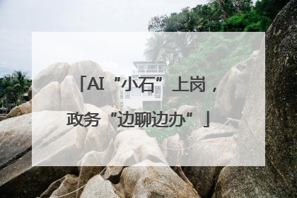 AI“小石”上岗，政务“边聊边办”