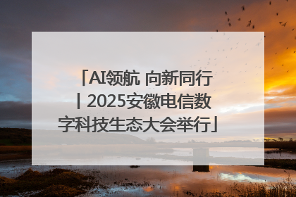 AI领航 向新同行丨2025安徽电信数字科技生态大会举行