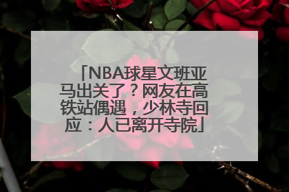 NBA球星文班亚马出关了？网友在高铁站偶遇，少林寺回应：人已离开寺院