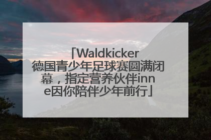 Waldkicker德国青少年足球赛圆满闭幕，指定营养伙伴inne因你陪伴少年前行