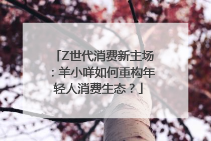 Z世代消费新主场：羊小咩如何重构年轻人消费生态？